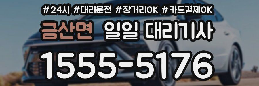 금산면 일일 대리기사