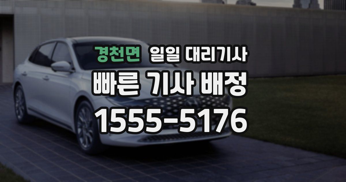 경천면 일일 대리기사
