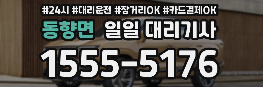 동향면 일일 대리기사