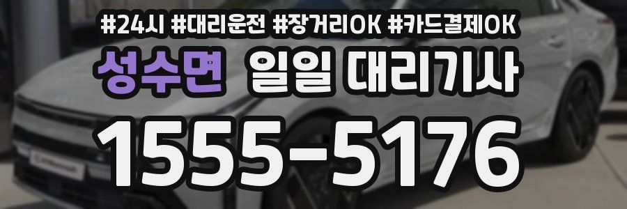 성수면 일일 대리기사