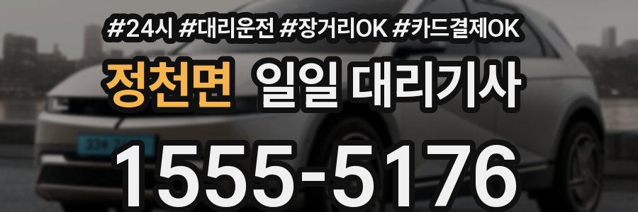 정천면 일일 대리기사