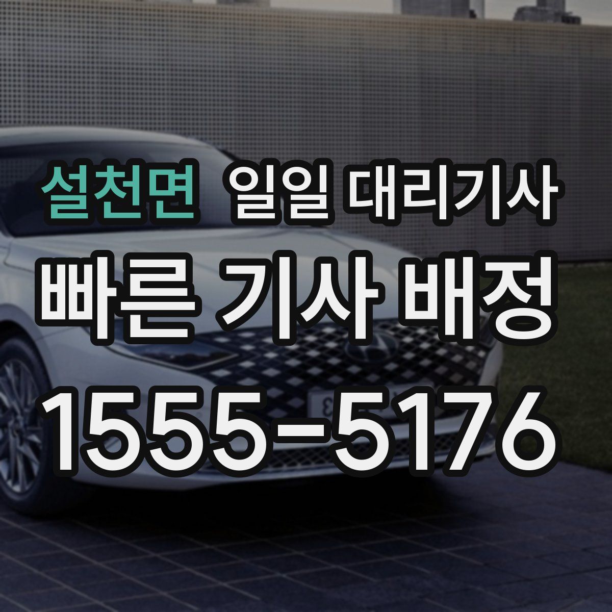 설천면 일일 대리기사
