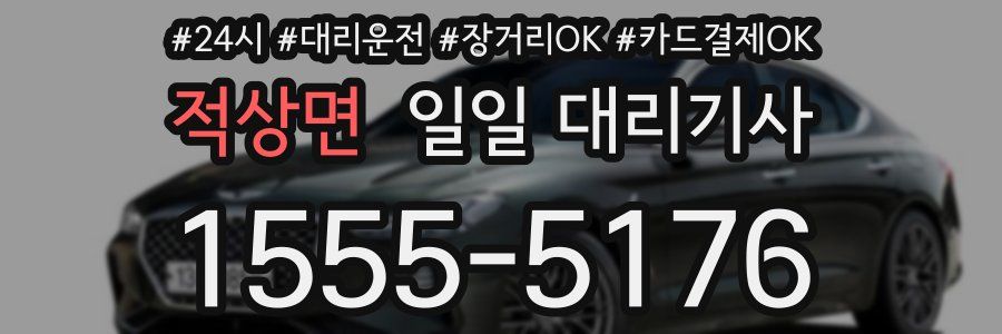 적상면 일일 대리기사