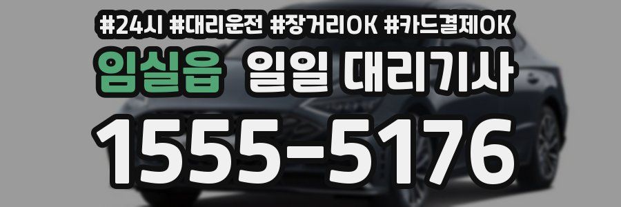임실읍 일일 대리기사
