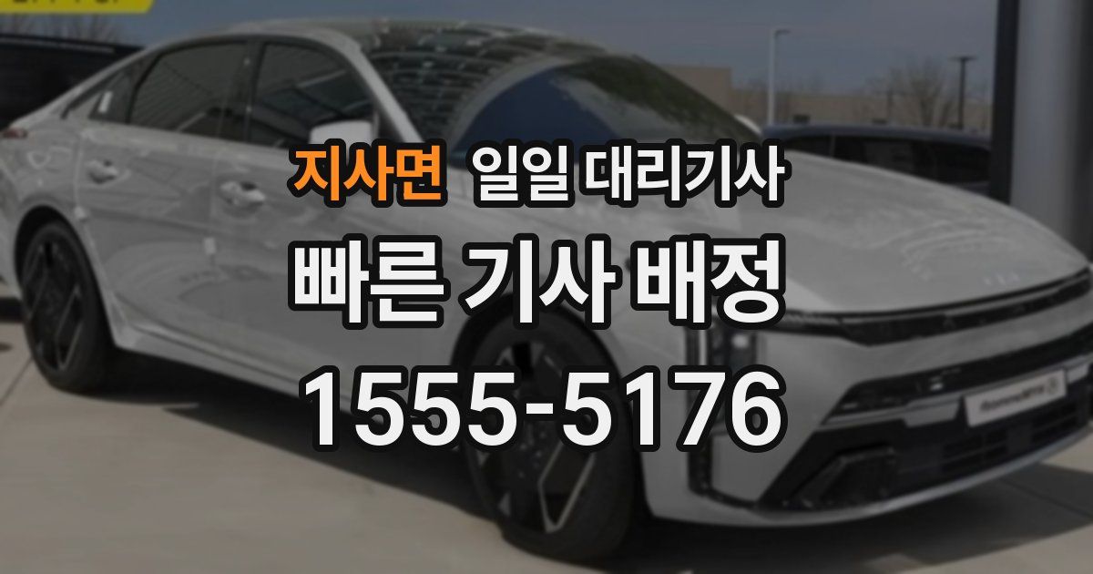 지사면 일일 대리기사