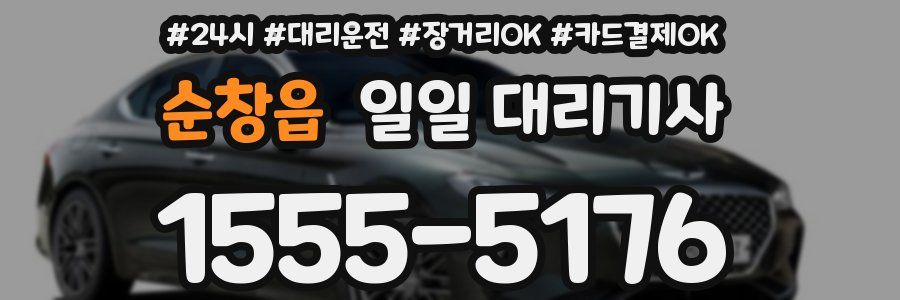 순창읍 일일 대리기사