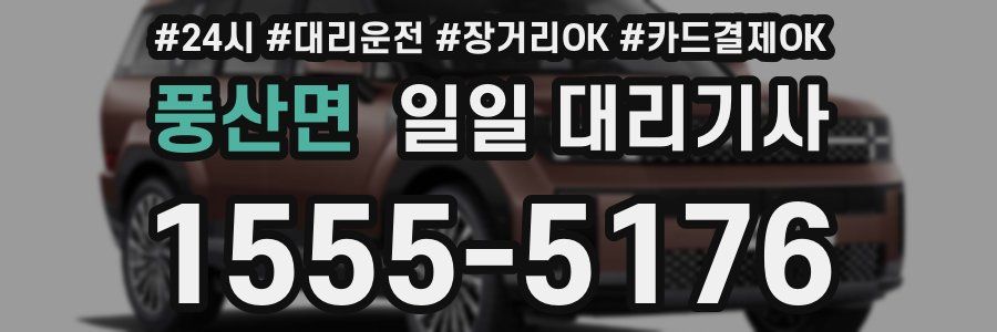 풍산면 일일 대리기사