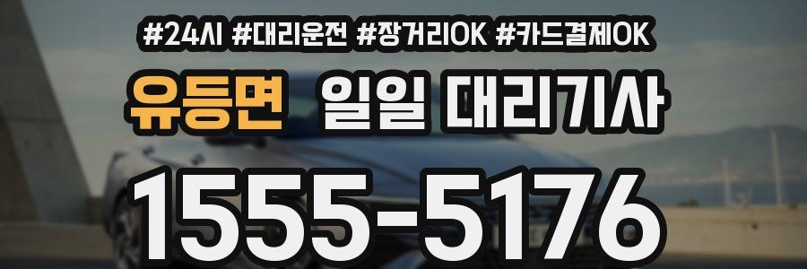 유등면 일일 대리기사