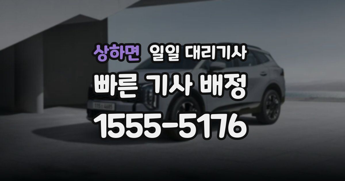 상하면 일일 대리기사