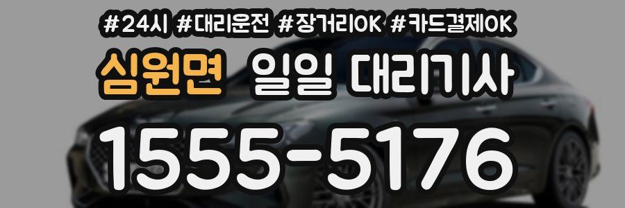 심원면 일일 대리기사