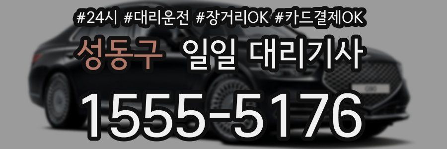 성동구 일일 대리기사