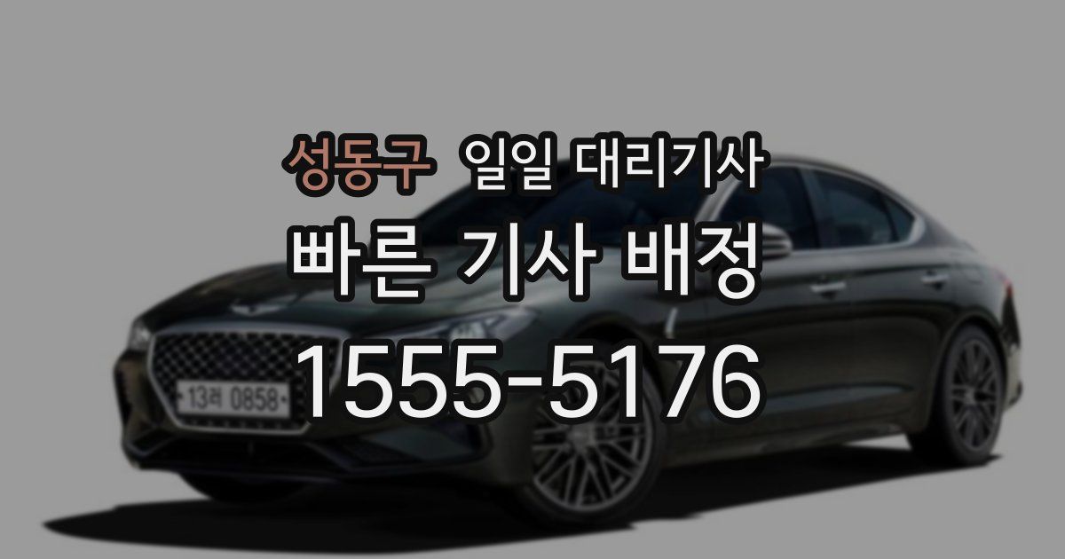 성동구 일일 대리기사
