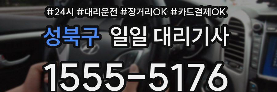 성북구 일일 대리기사