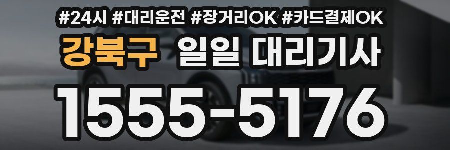 강북구 일일 대리기사