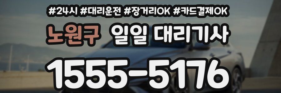 노원구 일일 대리기사