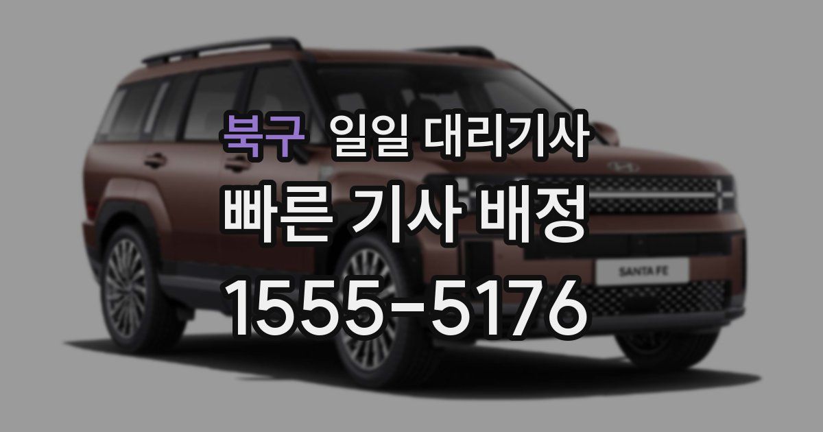 북구 일일 대리기사