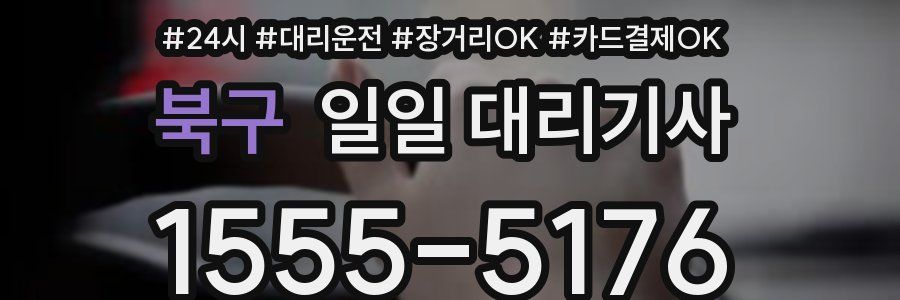 북구 일일 대리기사