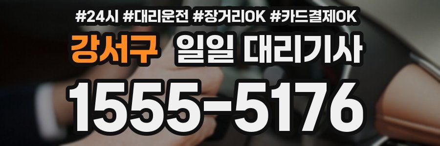 강서구 일일 대리기사