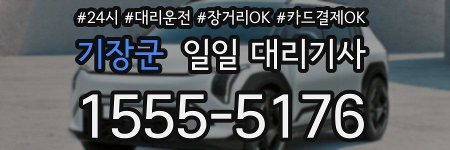 기장군 일일 대리기사