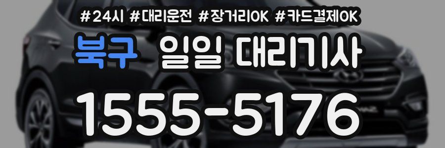 북구 일일 대리기사