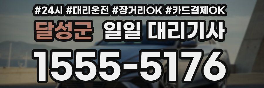 달성군 일일 대리기사