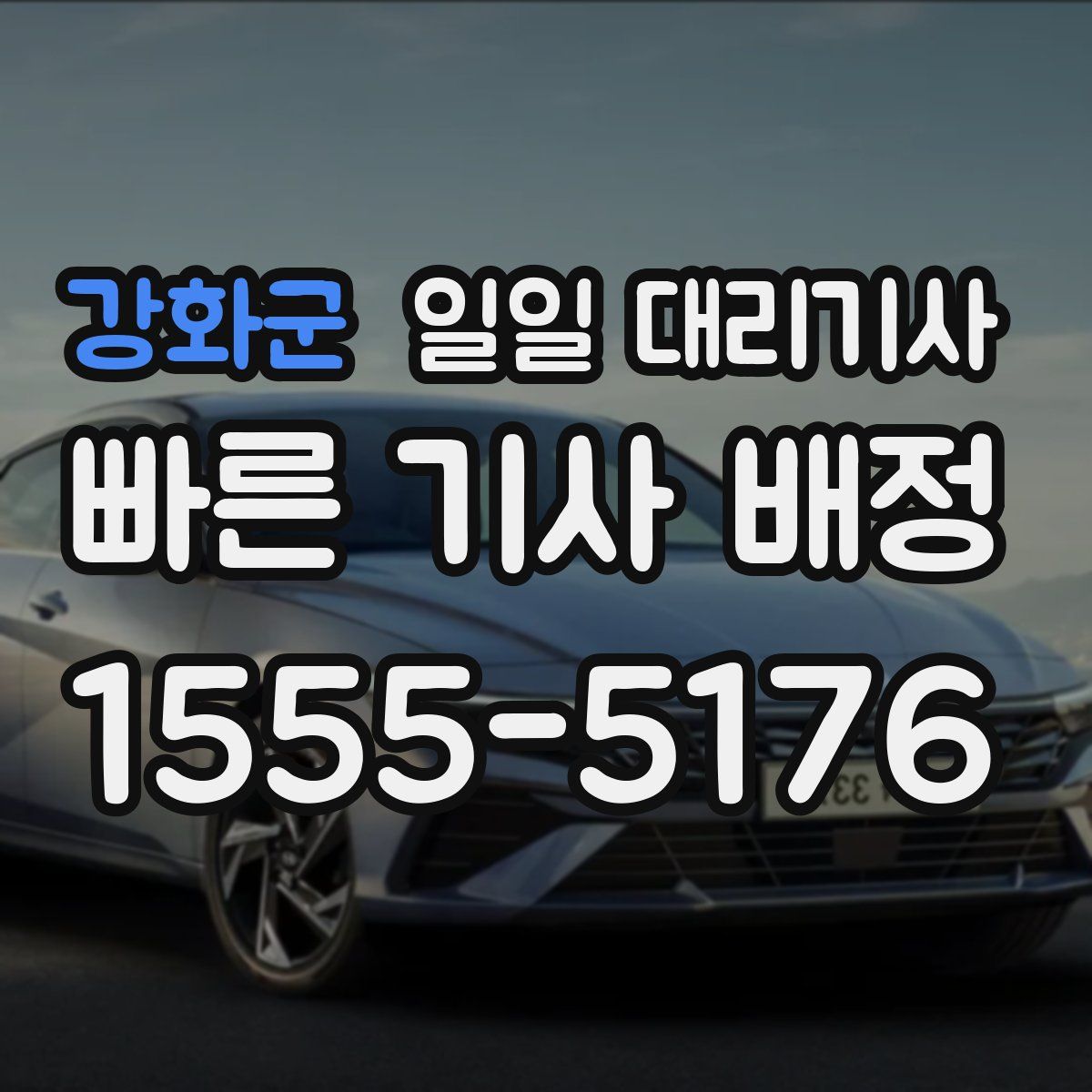 강화군 일일 대리기사