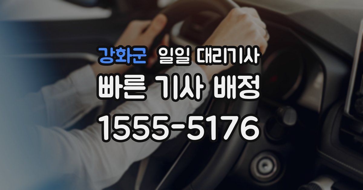 강화군 일일 대리기사