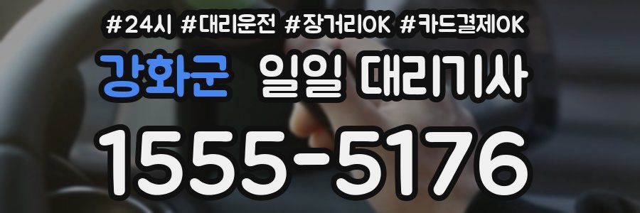 강화군 일일 대리기사