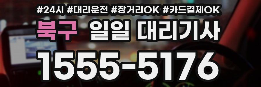 북구 일일 대리기사