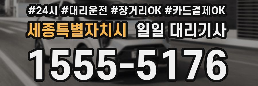 세종특별자치시 일일 대리기사