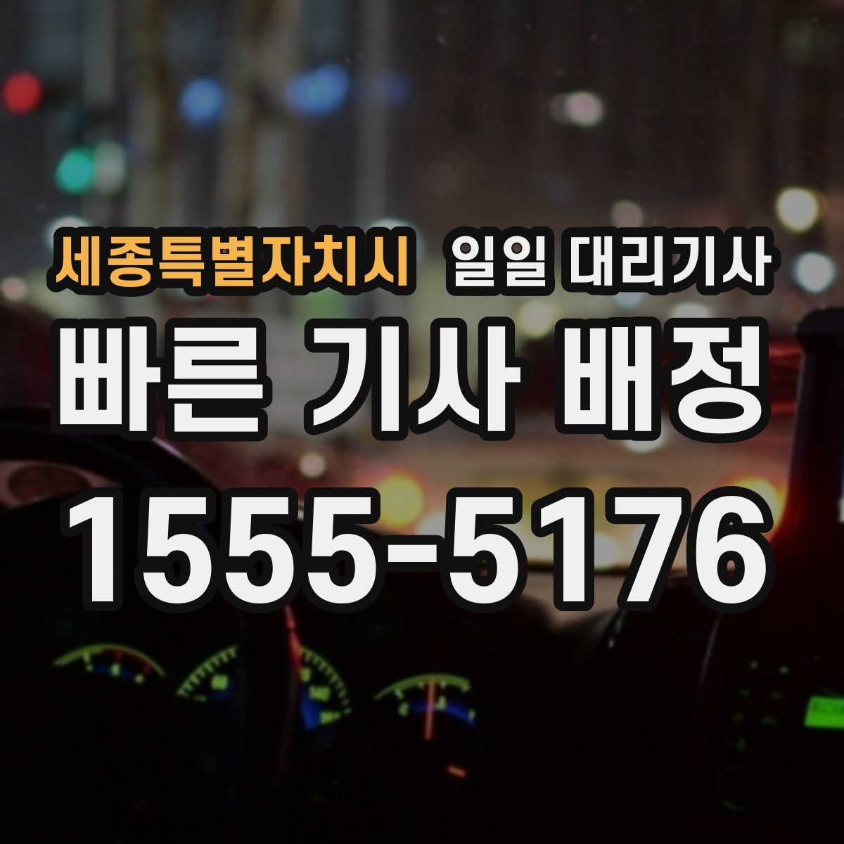 세종특별자치시 일일 대리기사