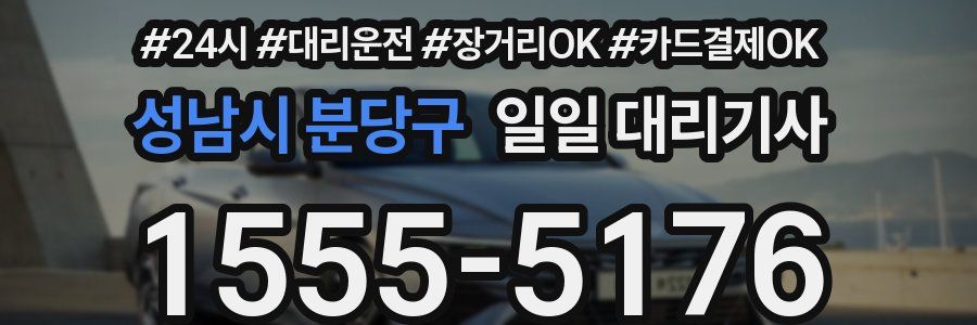 성남시 분당구 일일 대리기사