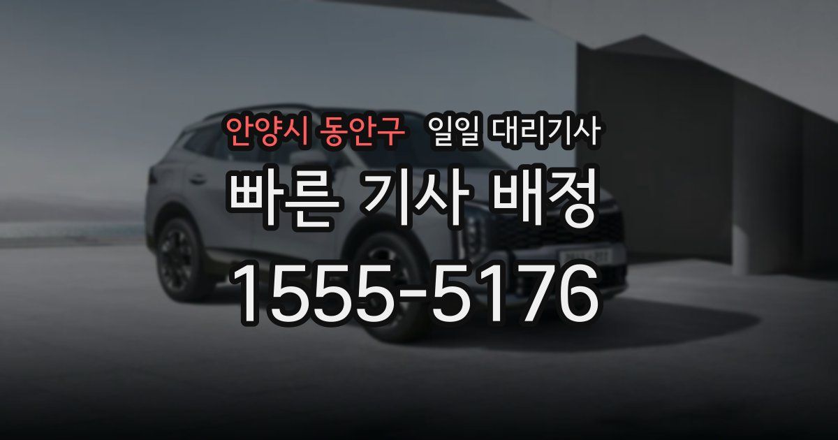 안양시 동안구 일일 대리기사