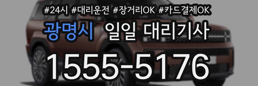 광명시 일일 대리기사