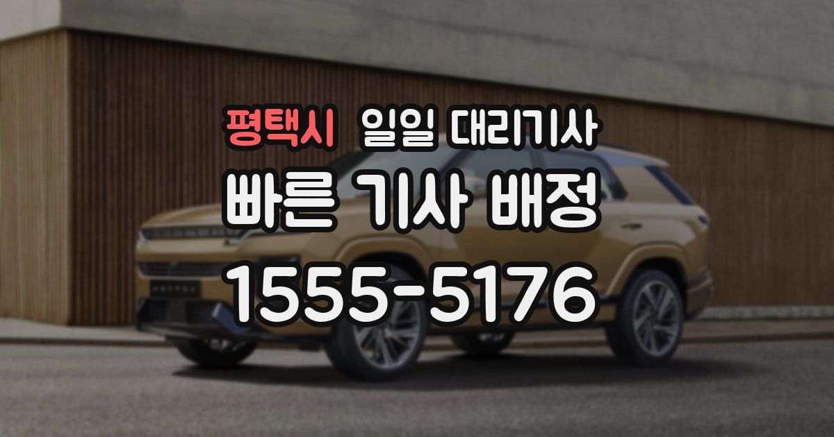 평택시 일일 대리기사