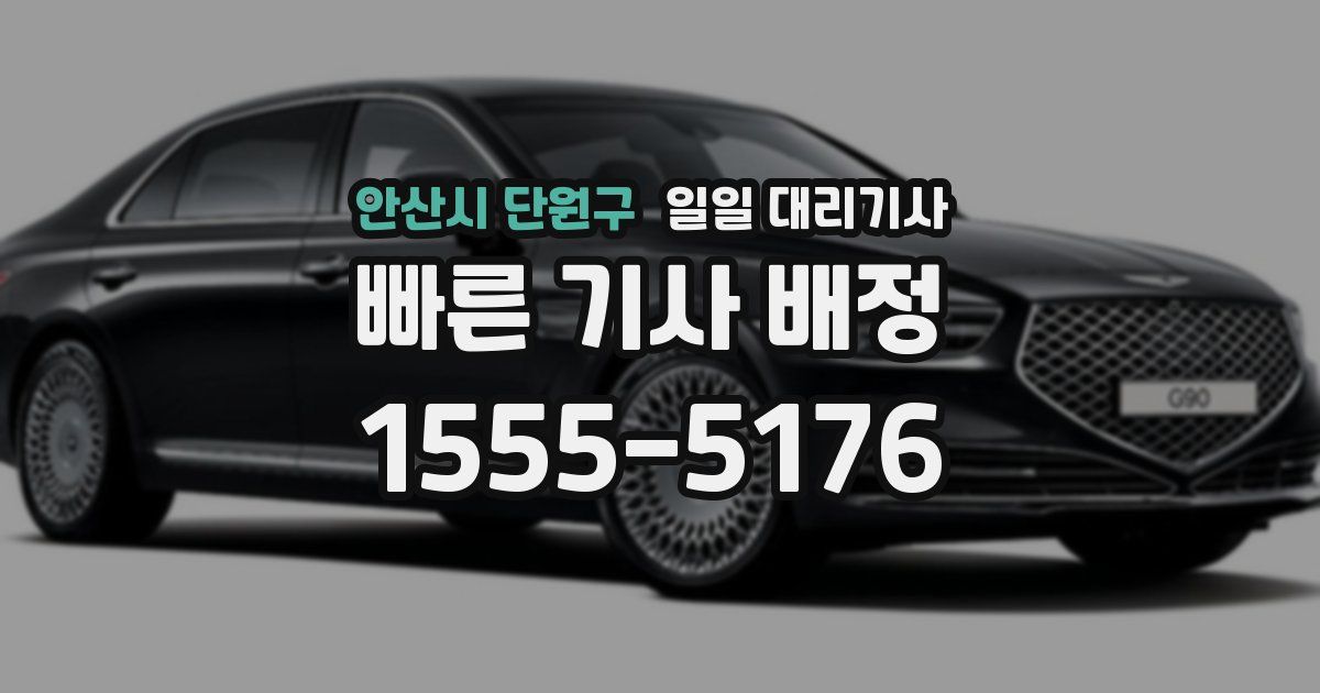 안산시 단원구 일일 대리기사