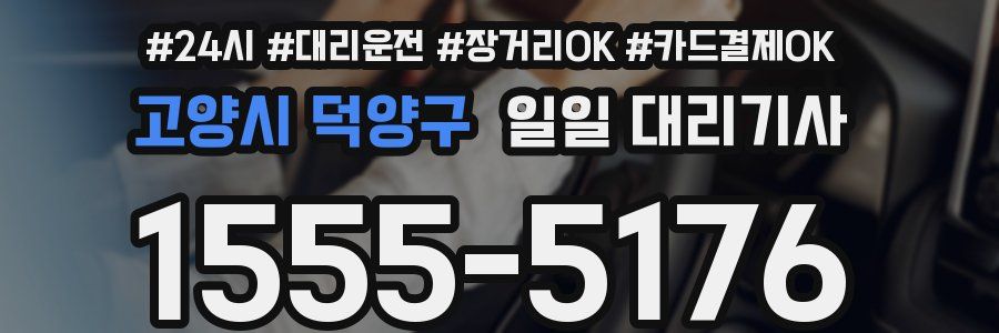 고양시 덕양구 일일 대리기사