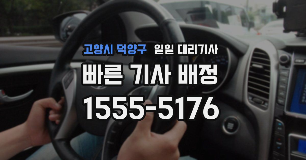 고양시 덕양구 일일 대리기사