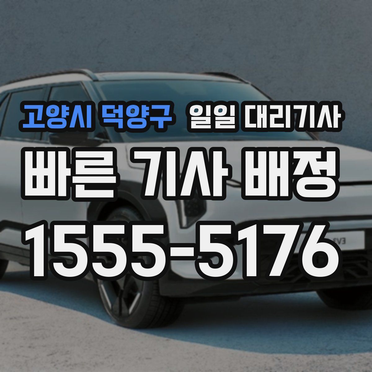 고양시 덕양구 일일 대리기사