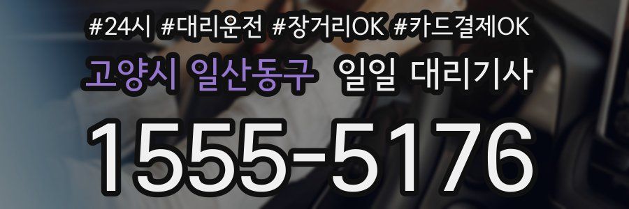 고양시 일산동구 일일 대리기사