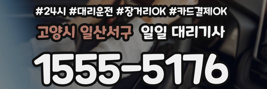 고양시 일산서구 일일 대리기사