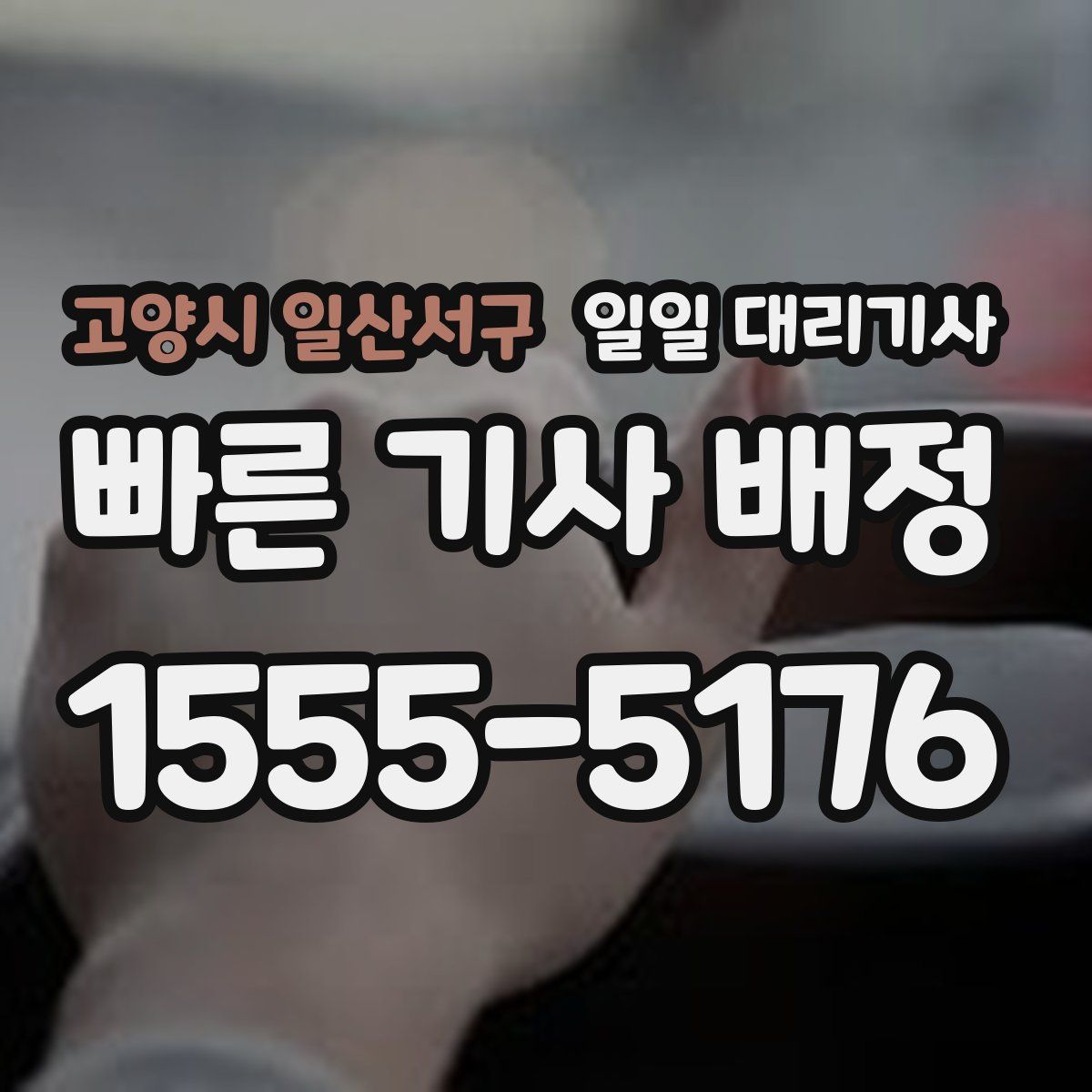 고양시 일산서구 일일 대리기사