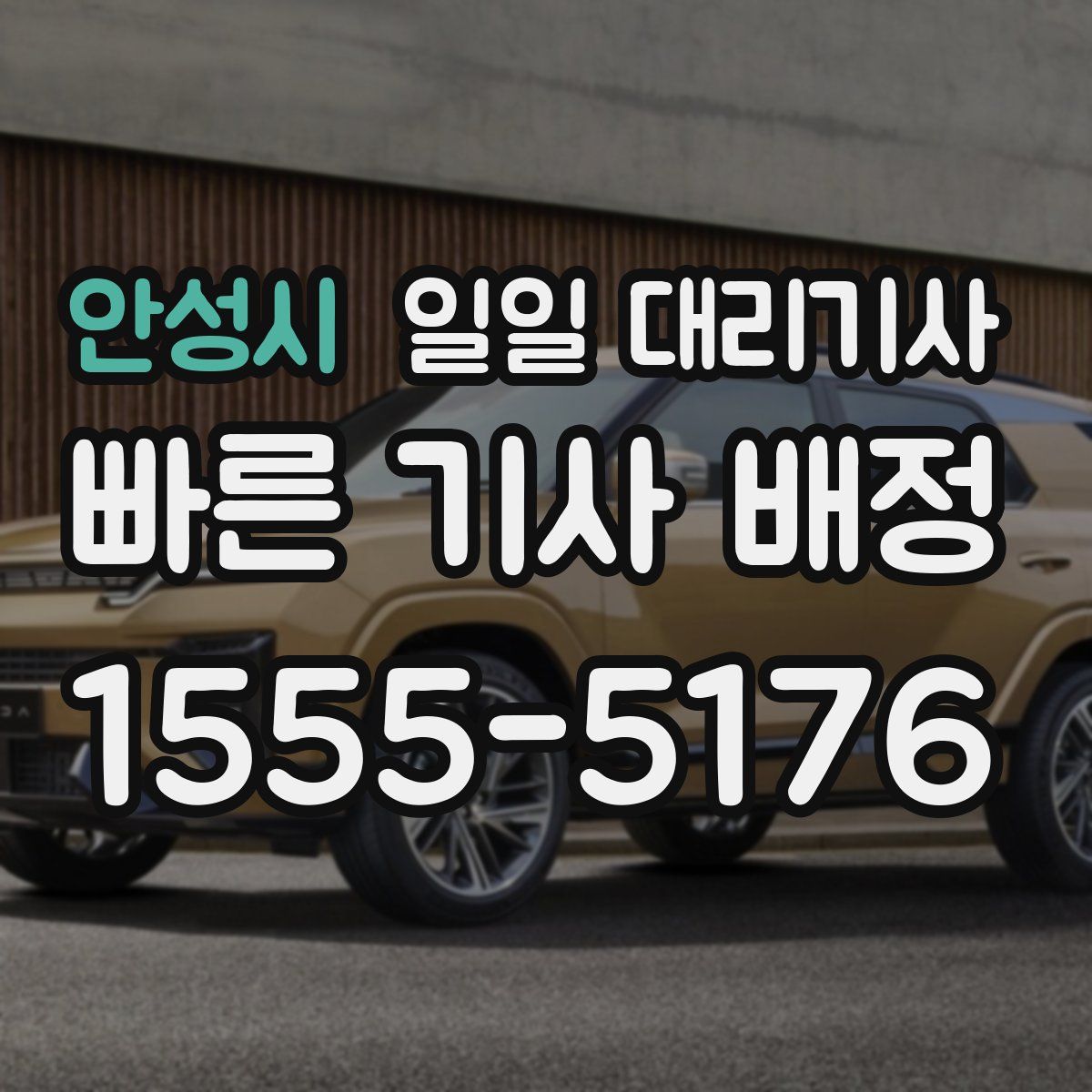 안성시 일일 대리기사