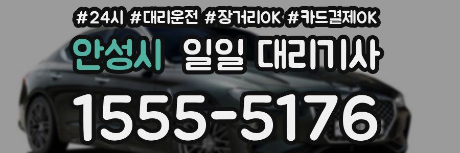 안성시 일일 대리기사
