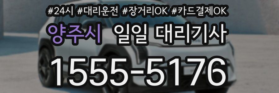 양주시 일일 대리기사