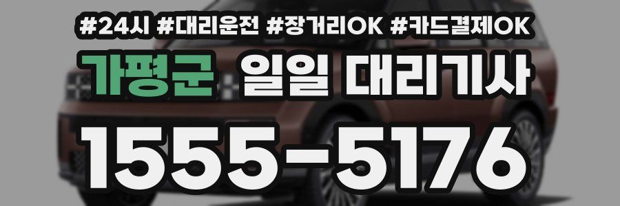 가평군 일일 대리기사