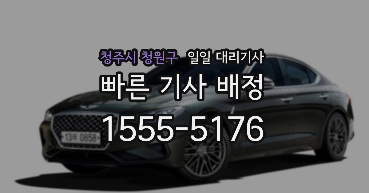 청주시 청원구 일일 대리기사