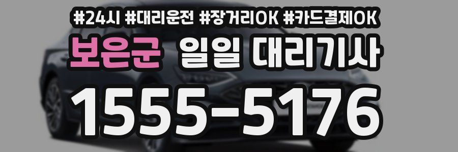 보은군 일일 대리기사