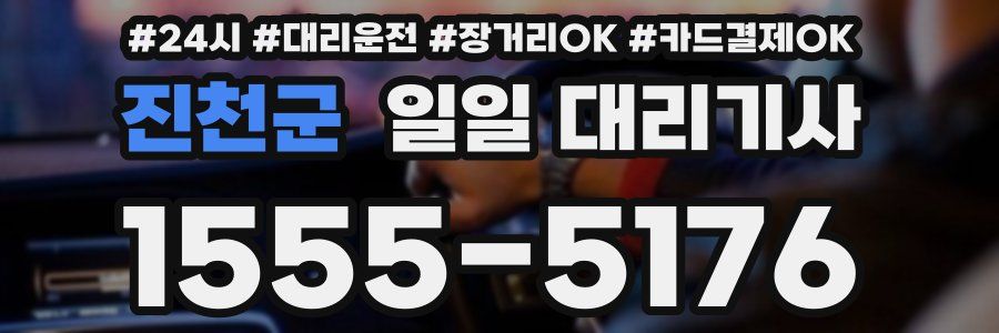 진천군 일일 대리기사