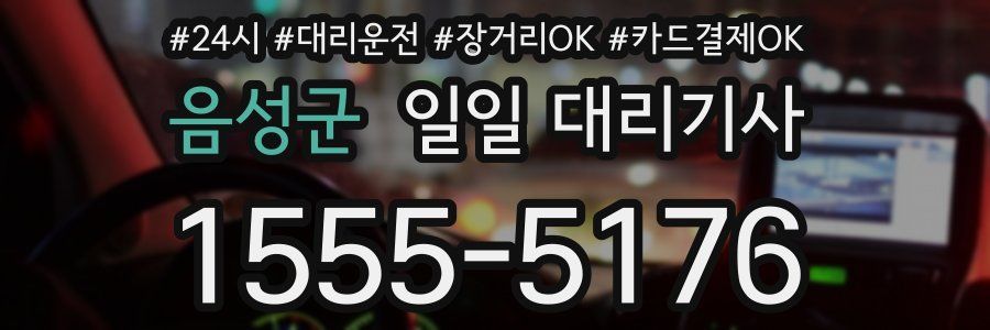 음성군 일일 대리기사